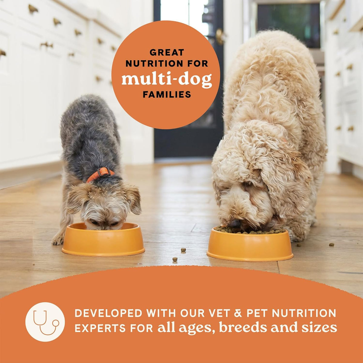 Canidae All Life Stages Real Salmon & Ancient Grains Recipe – High Protein Premium Dry Dog Food for