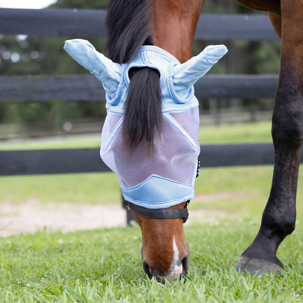 Equinavia Algard Soft Mesh Horse Fly Mask with Ear Protection and 45 UPF Rating | No Eye Irritation