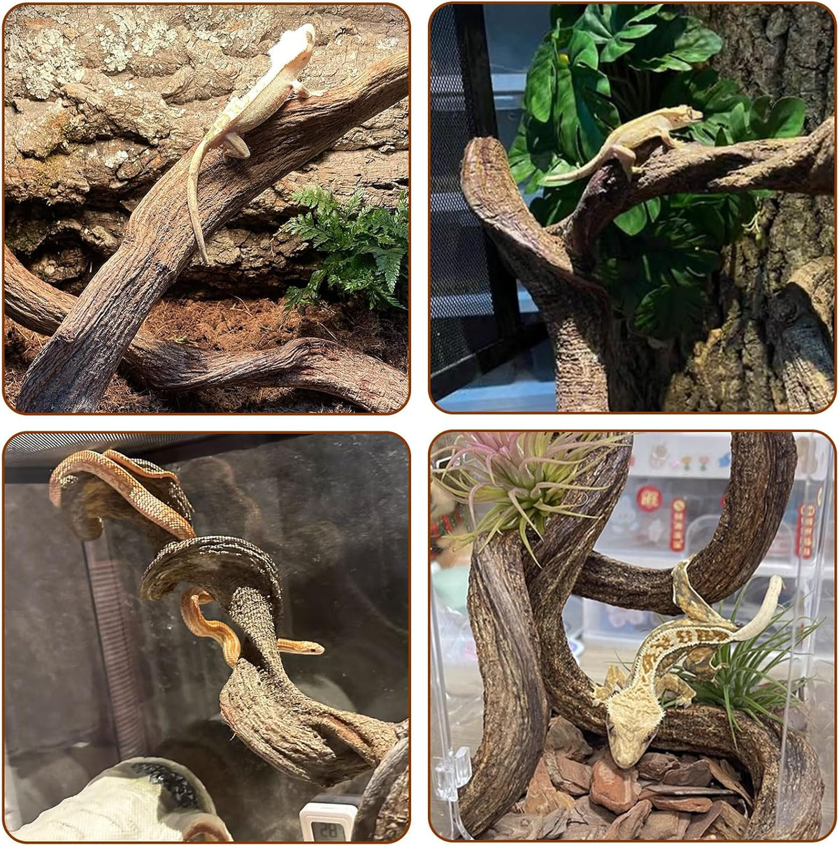 BNOSDM 4Pcs Reptile Climbing Branches Decor,Snake Climbing Branch,Gecko Climb Wood,Lizard Forest