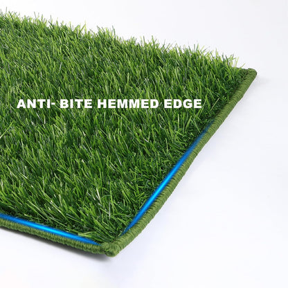 Dog Grass Pad with Tray Small 23" x 16", Dog Potty (No Grate) with Ultra-Absorbent Artificial Grass