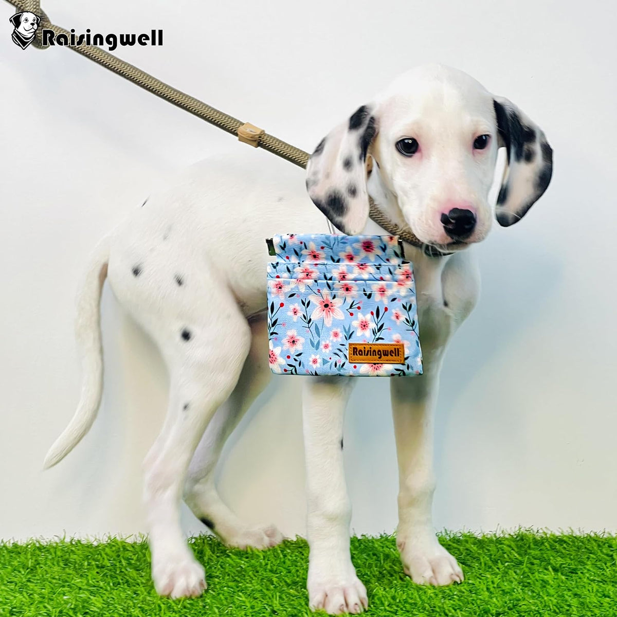 Dog Treat Pouch, Small Cotton Pocket Sized Training Holder, Hand Free Walking Fanny Bag with