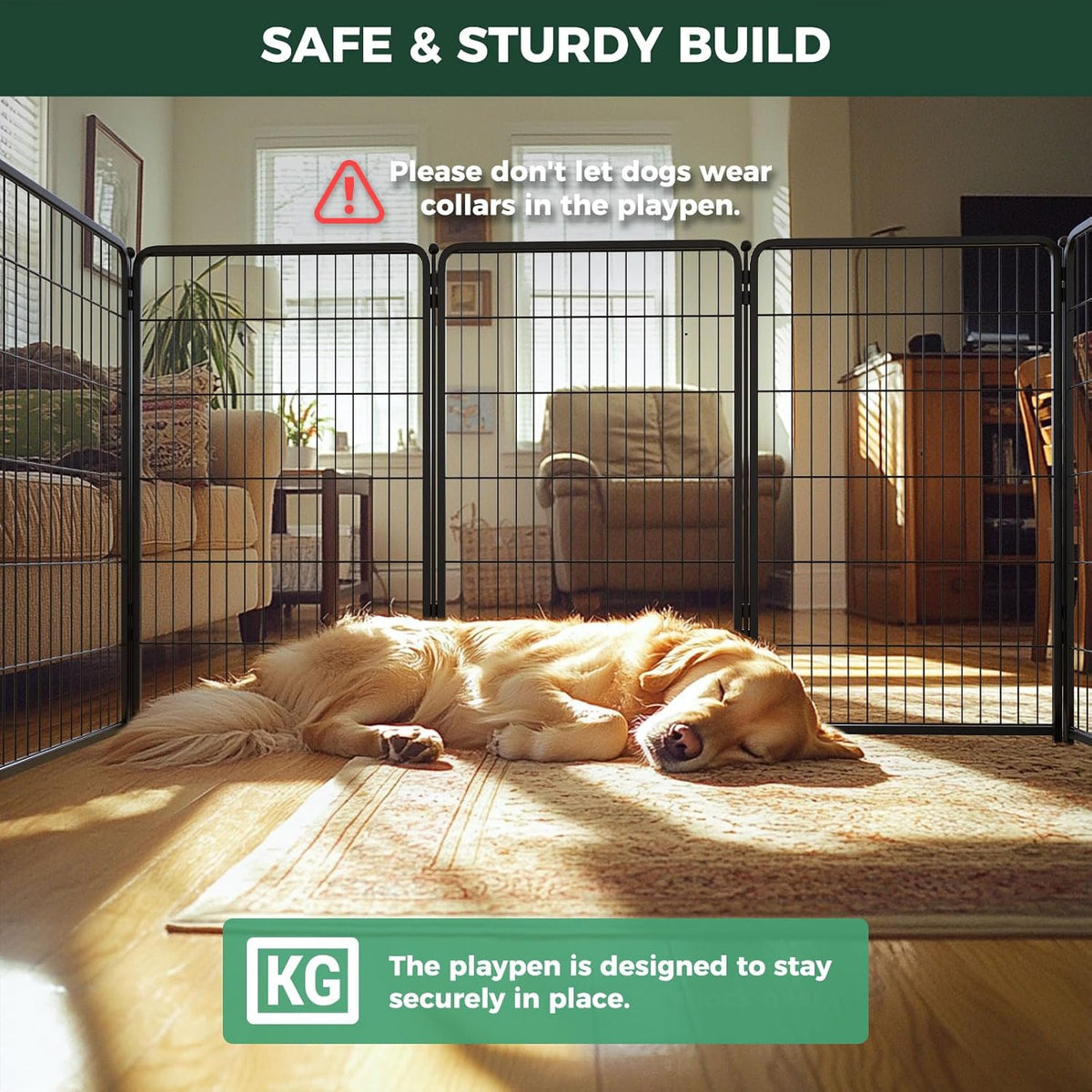 FXW Homeplus Unleashed Indoor Dog Playpen - Stress-Free and Safe Play, Heavy Duty 45 Inch 6 Wire