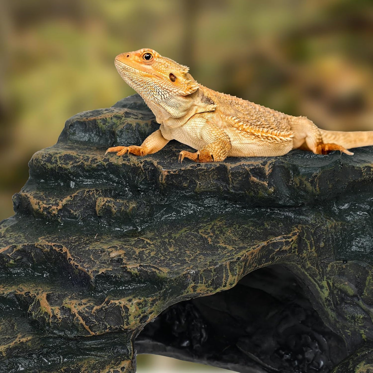Gecko Tank Acccessories, Turtle Tank Accessories, Perfect Tortoise Hide Fish Tank Decor for Betta