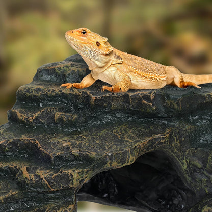 Gecko Tank Acccessories, Turtle Tank Accessories, Perfect Tortoise Hide Fish Tank Decor for Betta