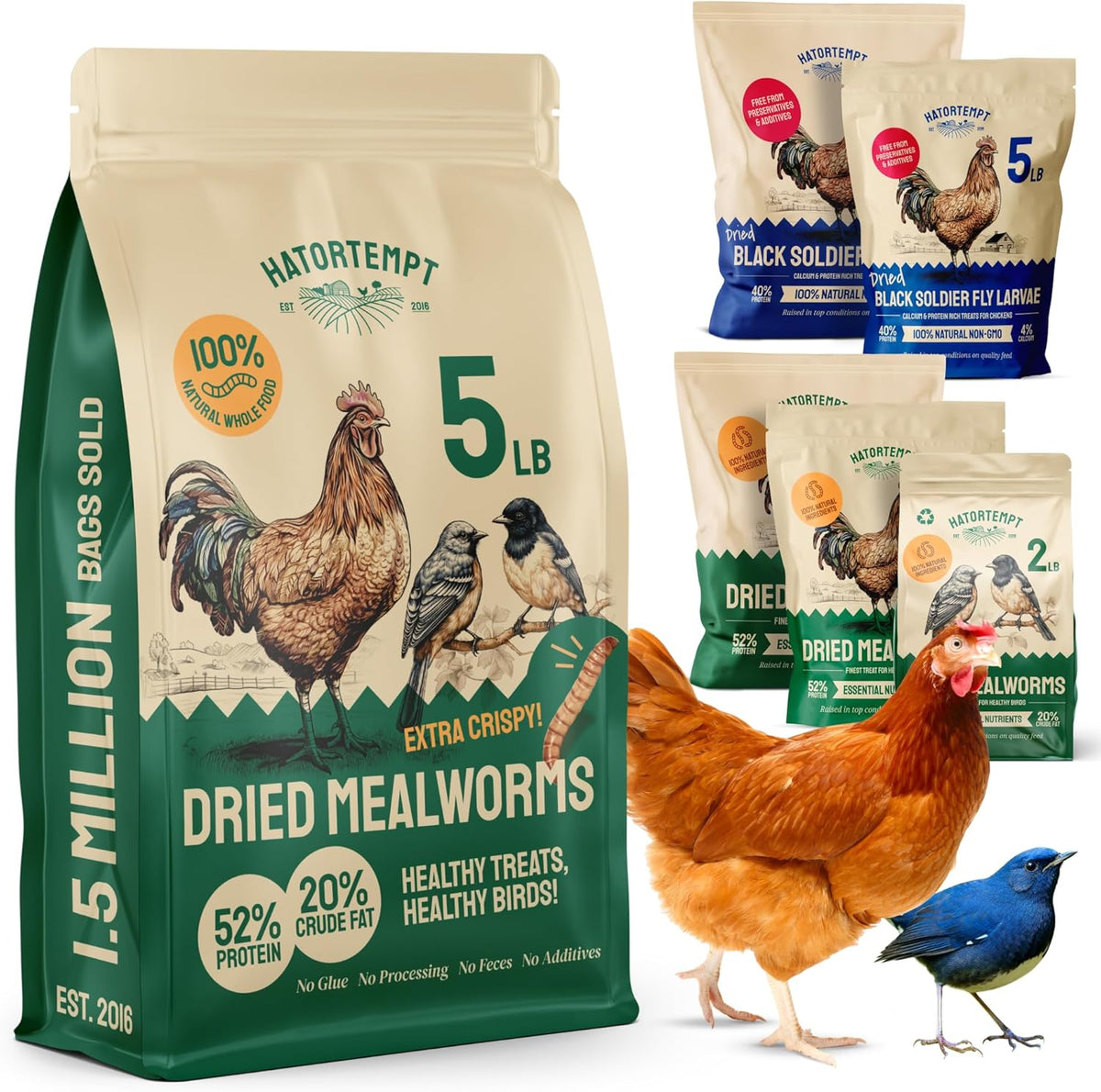 Chicken Feed Dried Mealworms - 5 Lb, Non-GMO & Organic - High-Protein Mealworms for Wild Birds &