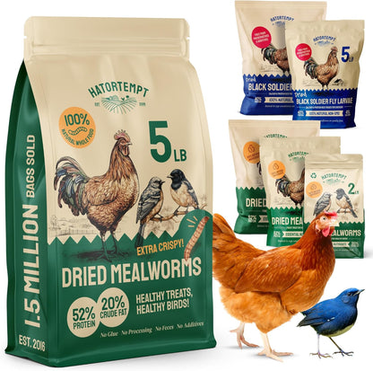 Chicken Feed Dried Mealworms - 5 Lb, Non-GMO & Organic - High-Protein Mealworms for Wild Birds &