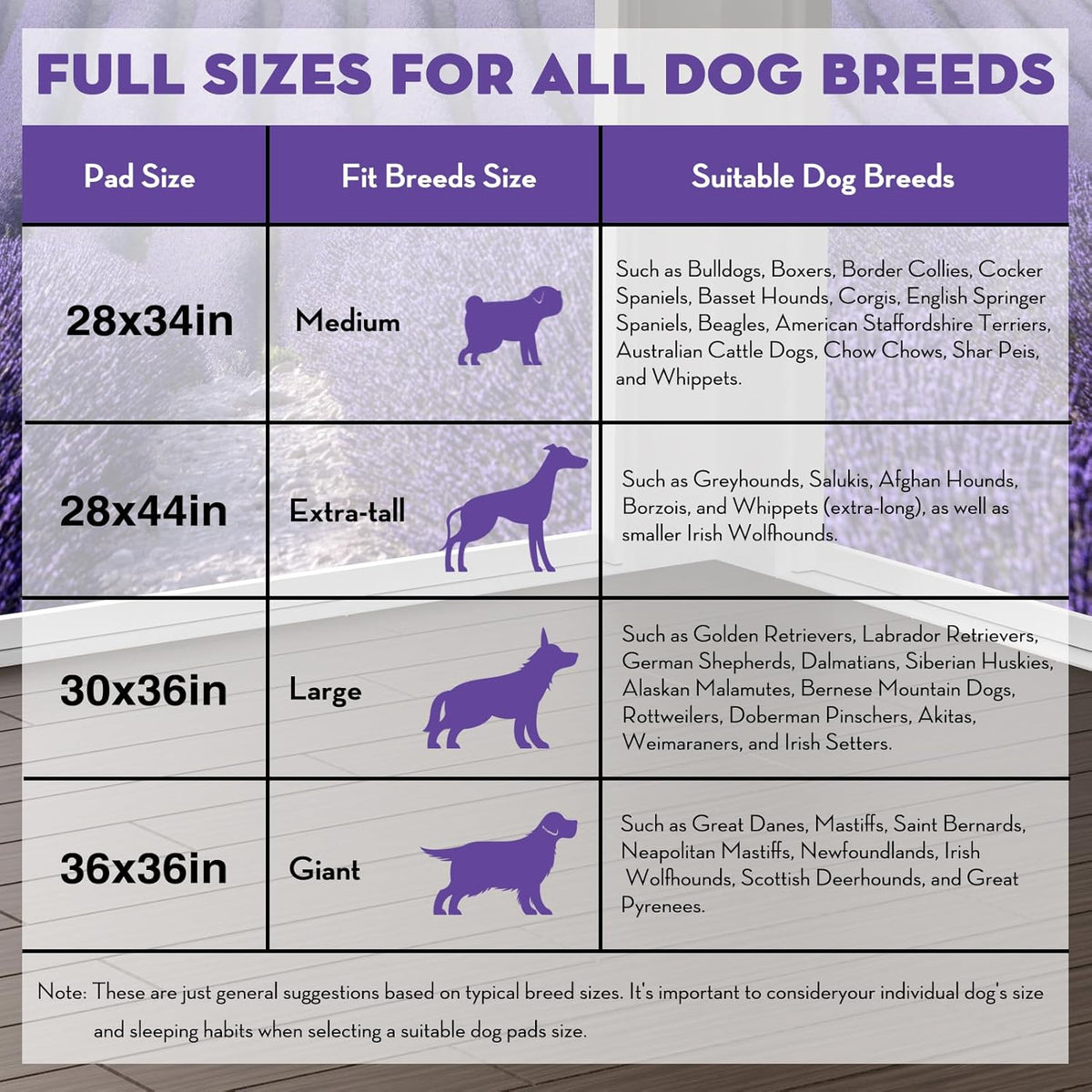 CROCI Dog Pads Extra Large 36x36in, Puppy Pads with Adhesive Tabs Super Absorbent Up to 11 Cups