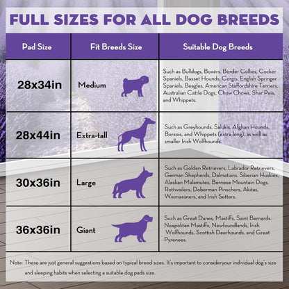 CROCI Dog Pads Extra Large 30x36in, Puppy Pads with Adhesive Tabs Super Absorbent Up to 10 Cups