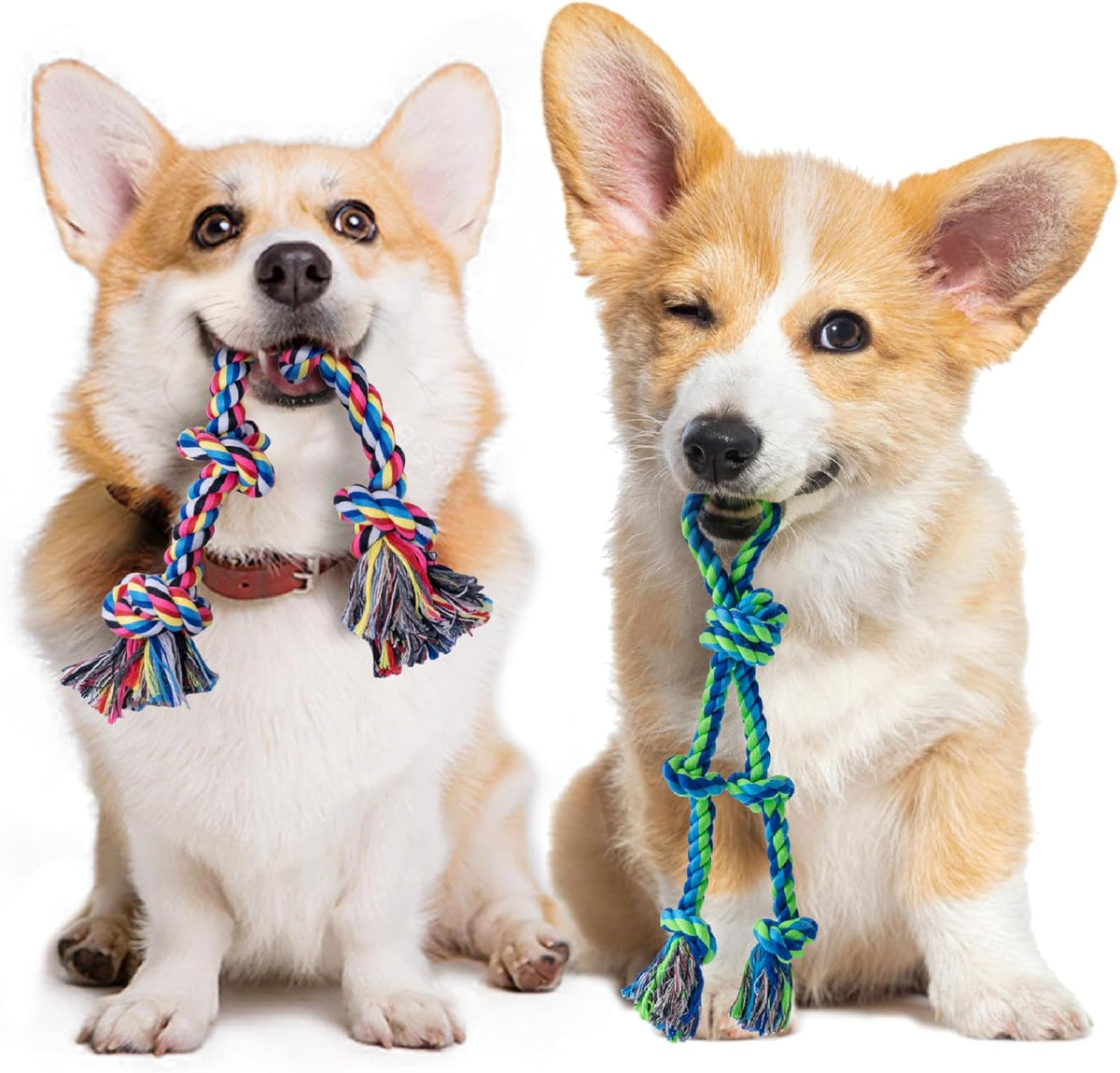 2 Pack Dog Rope Toy for Small Dogs, Puppy Teething Toys, Durable Cotton Puppy Chew Toys for