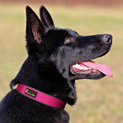 Plutus Pet Tactical Dog Collar, Reflective, Adjustable Heavy Duty Dog Collar, Soft Padded and