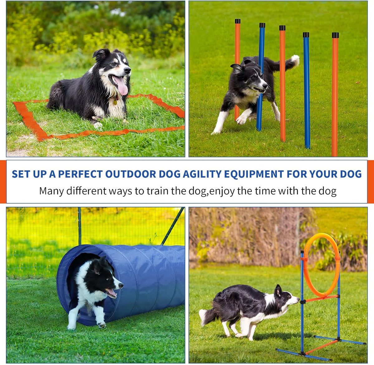 Dog Agility Training Equipment, 60-Piece Dog Obstacle Course Training Starter Kit Pet Outdoor Game