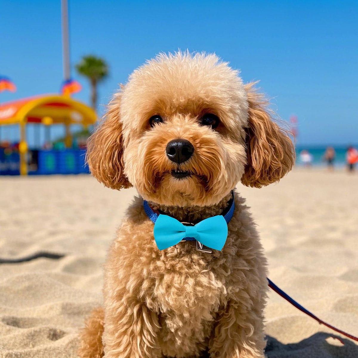 PET SHOW 12 Colors Plain Small Dogs Collar Embellishment Attachment Bow Ties Puppies Cats Collar