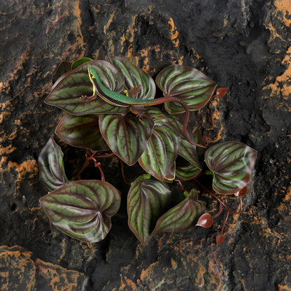 IBWell Fake Reptile Plants for Reptile Terrarium Plants, Reptile Plant Décor, Turtle Tank Plants