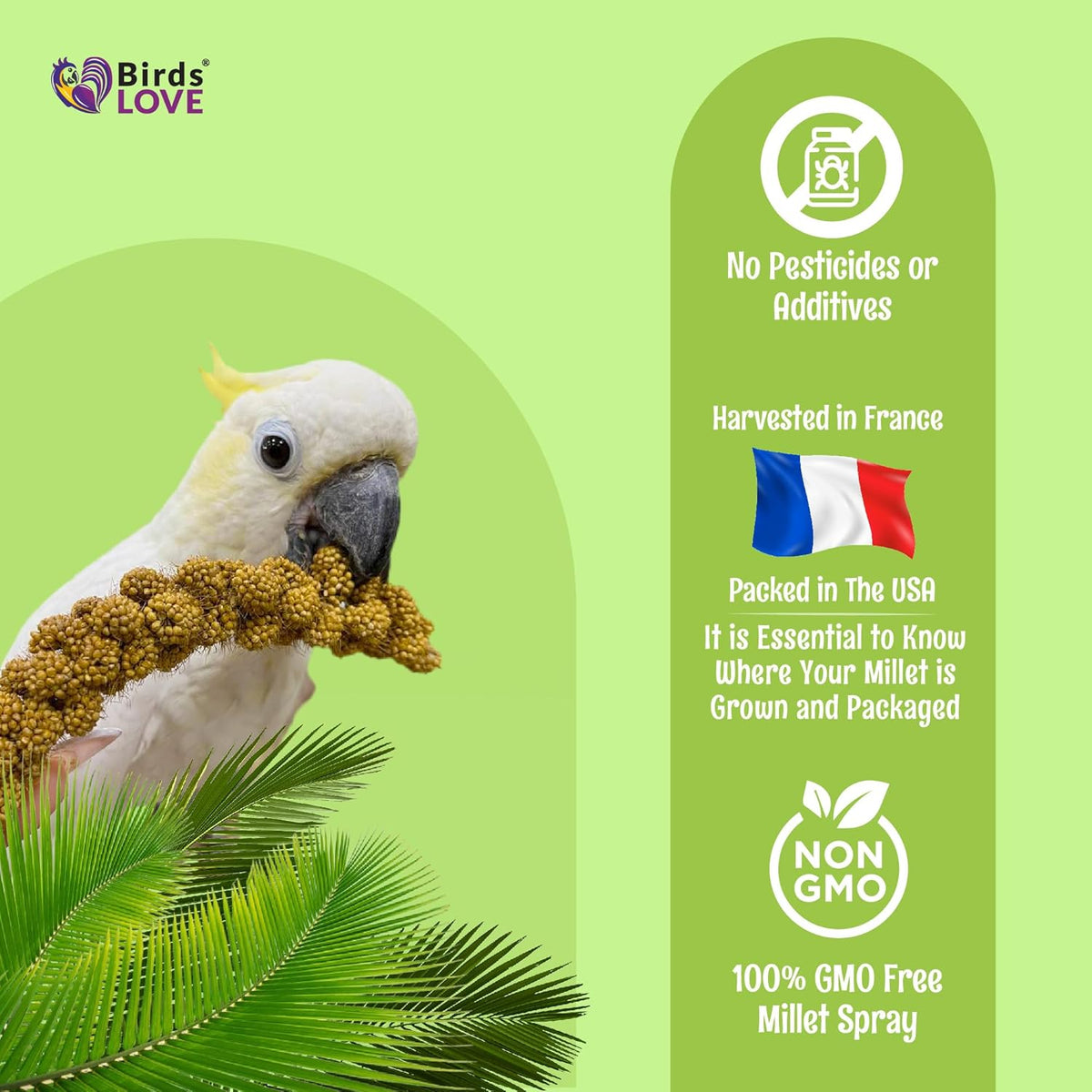 Birds LOVE French Kissed Spray Millet for Birds - Parakeets, Cockatiels, Lovebirds, Finches