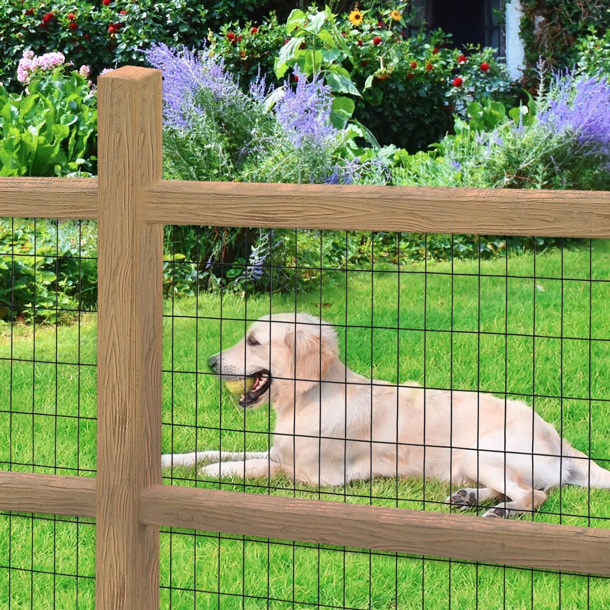 Black PVC Coated Welded Wire Fence 48 Inch x 50 Foot, 2 Inch x 4 Inch 14GA, Garden Border Fencing