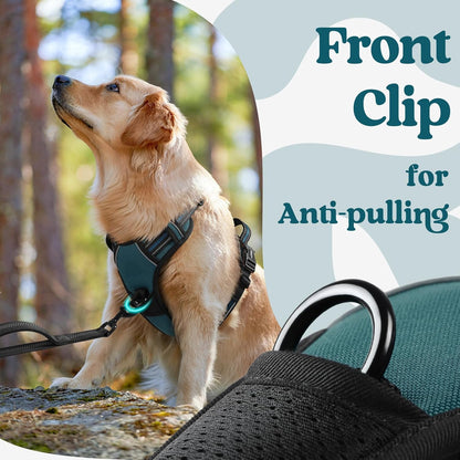 rabbitgoo Dog Harness for Large, No Pull Pet Harness with 3 Buckles, Adjustable Soft Padded Vest
