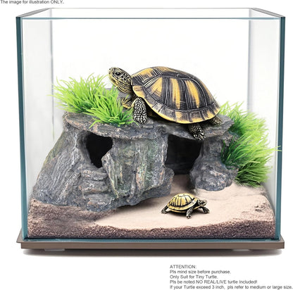 Premium Small Fish Tank Decorations, Reptile Tank Accessories, Turtle Tank Accessories, Natural