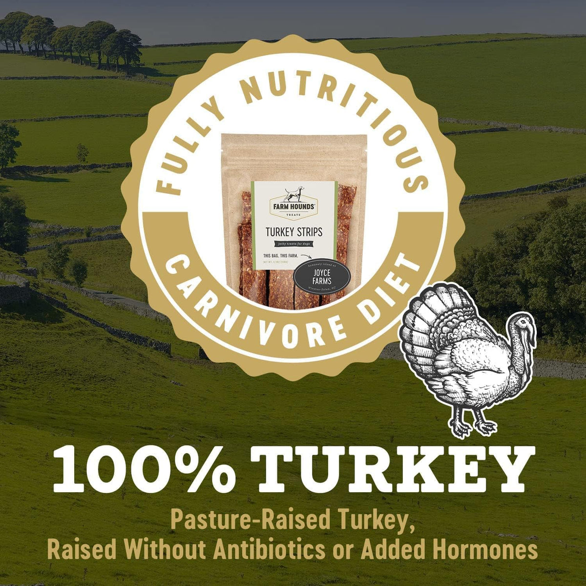 Farm Hounds - Turkey Strips - Premium Natural Jerky for Dogs - from 100% Humanely Raised Turkey