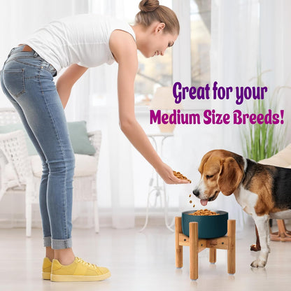 Dog Bowl Stand for Medium Breeds - Raises Bowls to 9-inch High, Ants/Bugs-Off - Adjustable, Fits