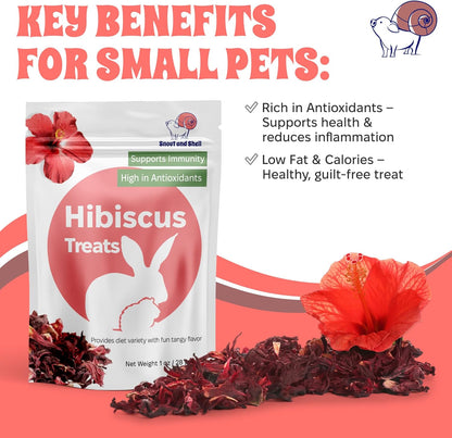 Snout and Shell Hibiscus Treats – 100% Natural Dried Flowers for Small Pets – Immunity Support &