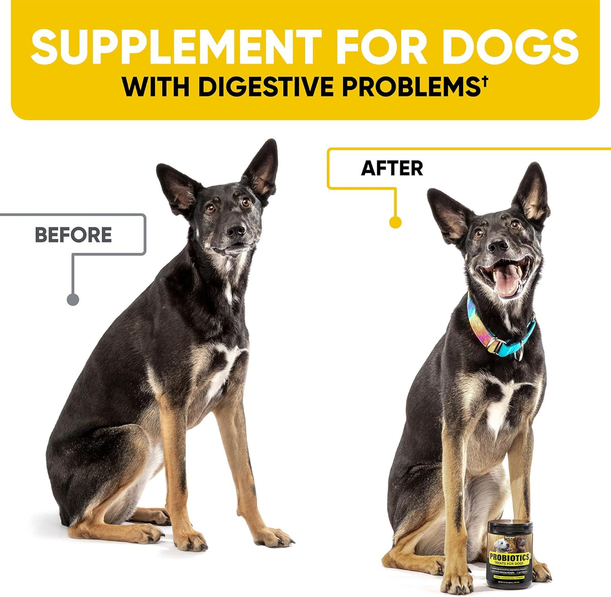 Probiotics Chews for Dogs w/Digestive Enzymes - Dog Probiotics to Support Gut Health, Alleviate Dog