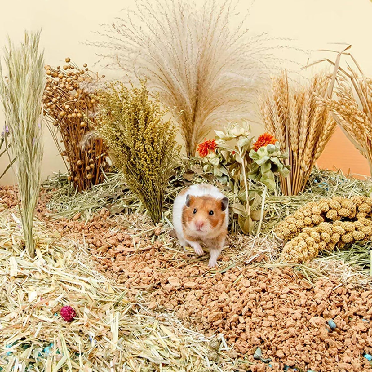 Natural Ear of Grain Flower&Herb Bedding Mate Habitat Decor, Adding Fun Hamster Accessories for