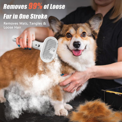 Dog Steam Brush 3 in 1 Cat Brush with Steam and Release Button Grooming Tool for Indoor Pets Dogs