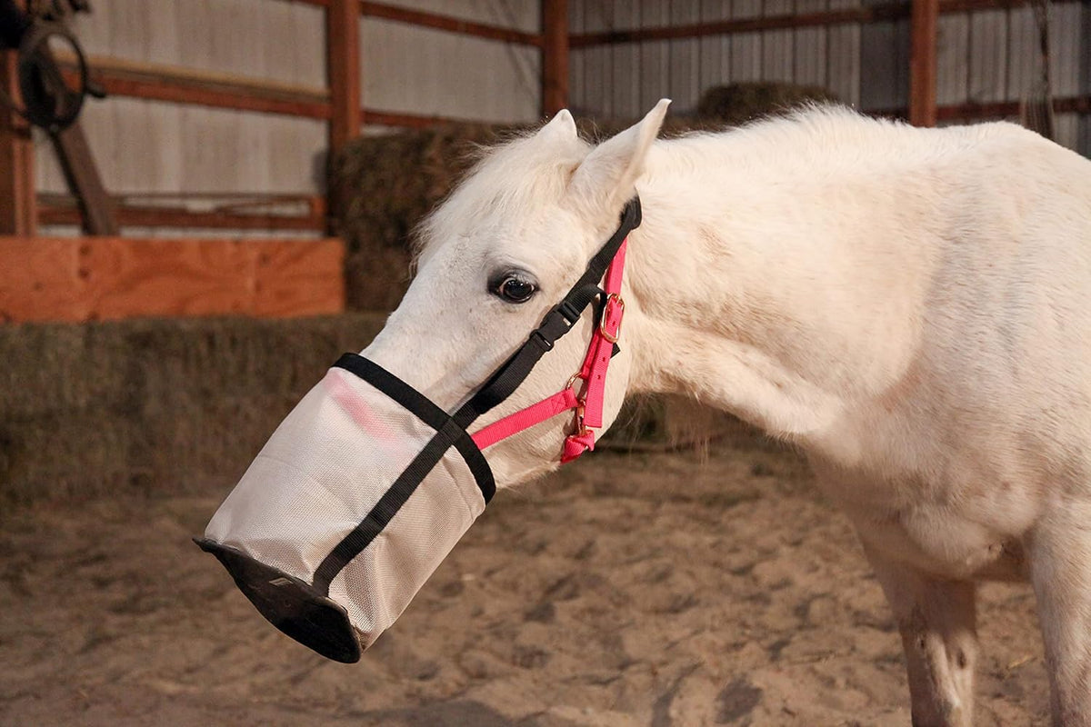 Majestic Ally Horse Feed Bag, Heavy Duty Nylon Mesh Grain Feed Bag, Adjustable Strap with Durable
