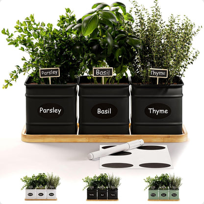 Herb Planter Indoor - 3 Iron Herb Pots with Drainage Holes, Varnished Bamboo Tray, Customizable