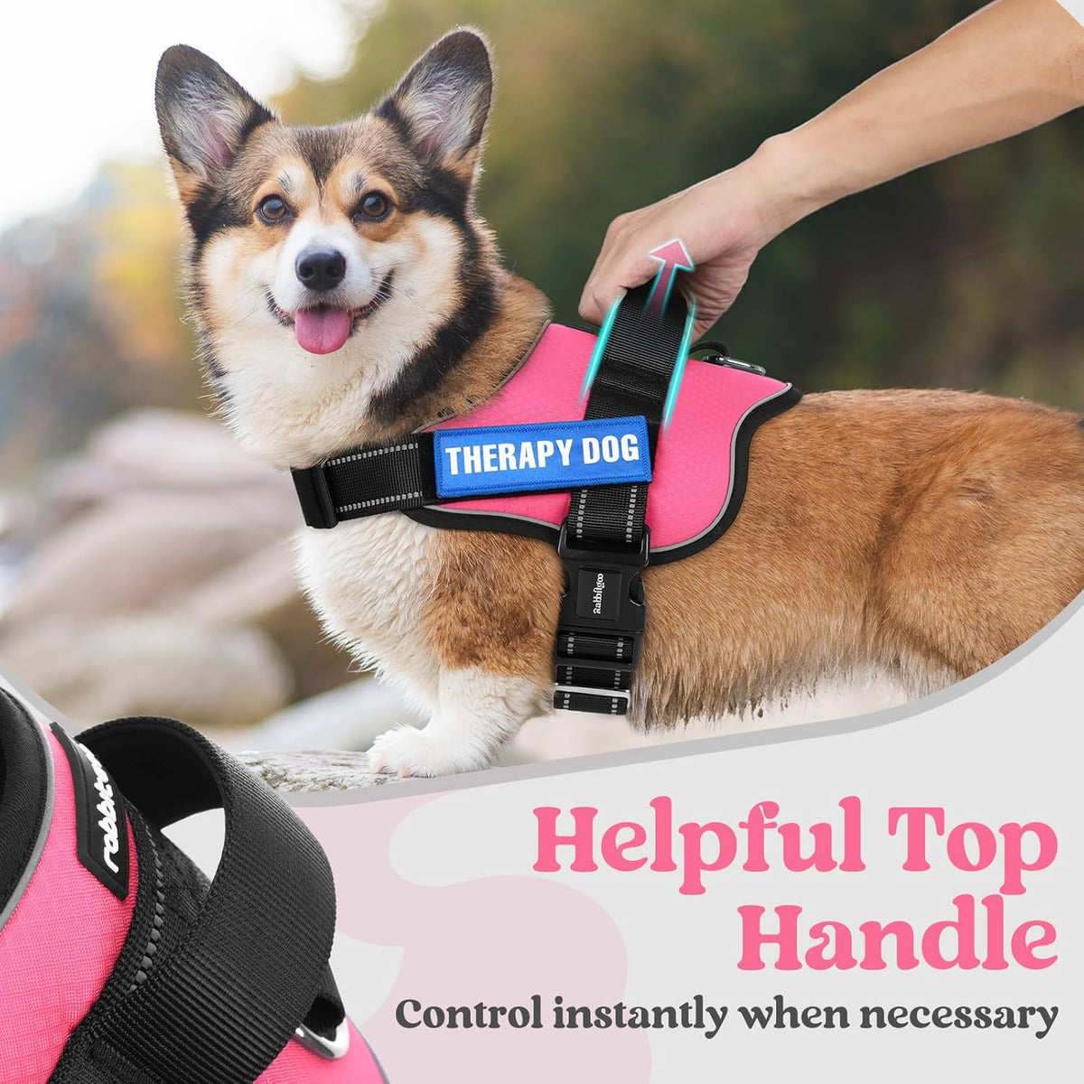 rabbitgoo Dog Harness for Small, Easy On Pet Vest with One Buckle, No Pull Adjustable Service