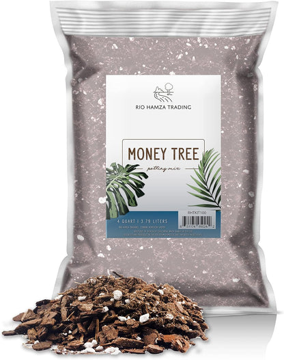 Money Tree Soil (4 Quarts), Potting Mix for Planting/Repotting Pachira Aquatica, All-Natural Custom