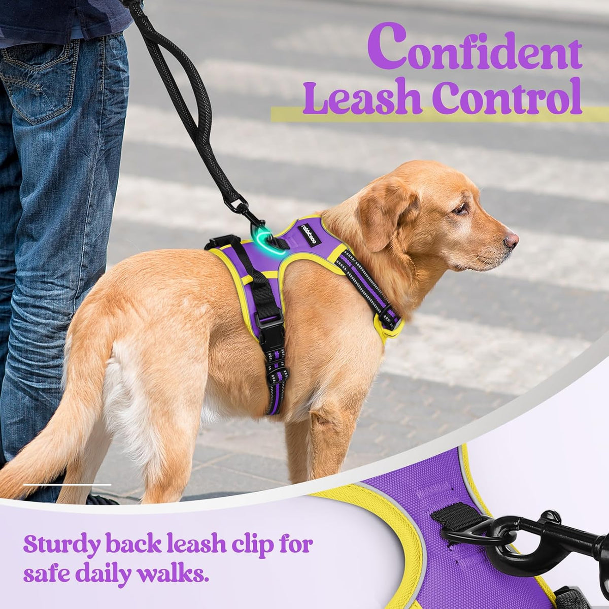 rabbitgoo Dog Harness No Pull with 2 Leash Clips, Adjustable Soft Padded, Reflective Oxford No