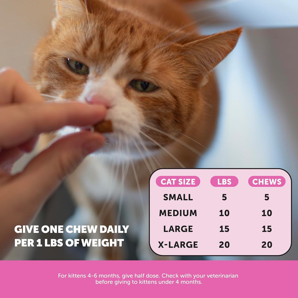 Cat Multivitamin Chews - Cat Treats for Health + Immune, Joint Support, Skin & Coat, and Digestion