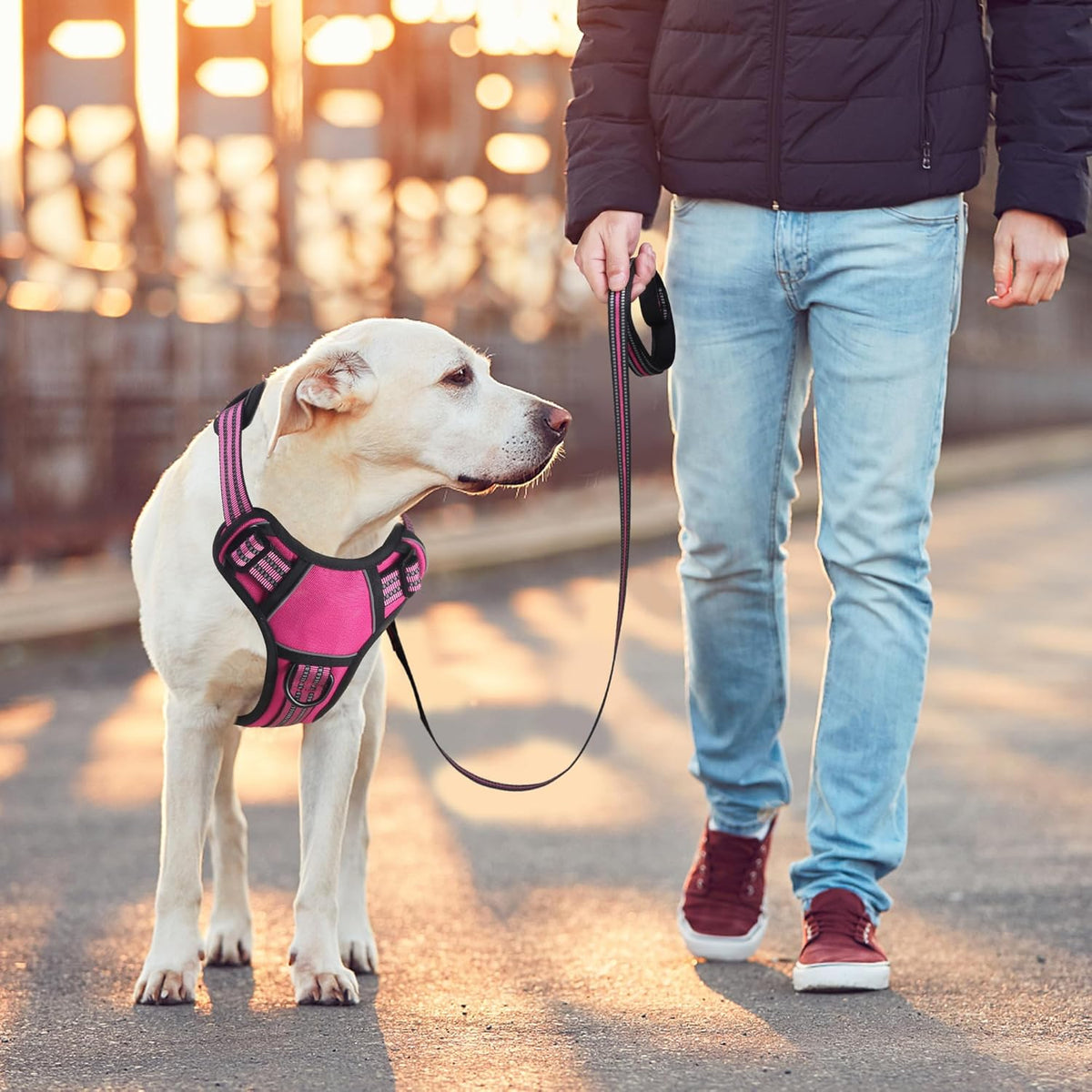 BUMBIN Dog Harness for Large Dogs, No Pull Adjustable No Choke Pet Vest with Dog Leash Fit Smart
