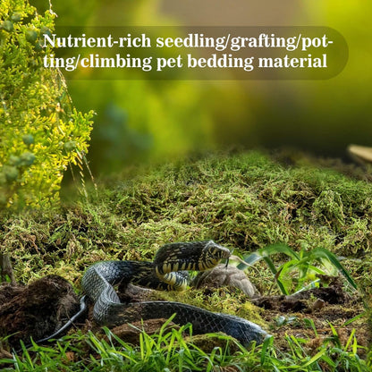 Sukh Sphagnum Moss for Reptiles - Terrarium Reptiles Moss Green Dried Peat Moss Habitat Bedding