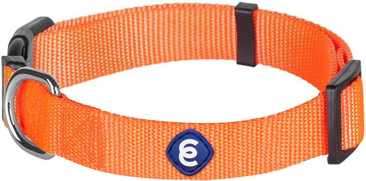 Blueberry Pet X-Small Dog Collar | Girl Dog Collars | Female Dog Collar XS | Quick Release Dog