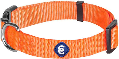 Blueberry Pet X-Small Dog Collar | Girl Dog Collars | Female Dog Collar XS | Quick Release Dog
