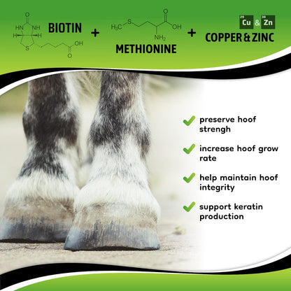SynoStride All Natural, All-in-one, Joint and Hoof Health Supplement for Horses, Powder with