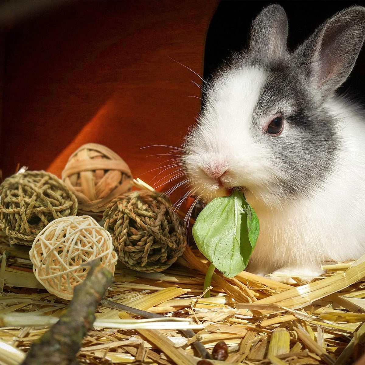 8 Pcs Small Animals Play Balls Rolling Activity Chew Toys Gnawing Treats for Rabbits Guinea Pigs