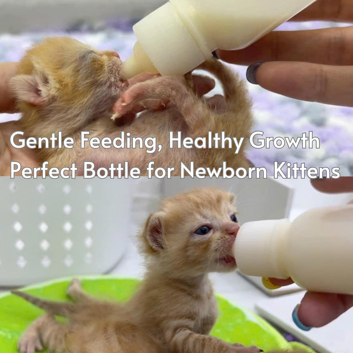Newborn & Senior Pet Feeding Kit, Kitten/Puppy Bottle (50ml), Syringe with Silicone Nipple, Oral