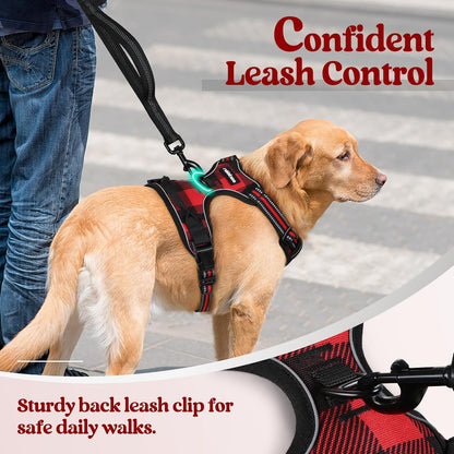 rabbitgoo Dog Harness No Pull with 2 Leash Clips, Adjustable Soft Padded, Reflective Oxford No