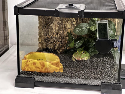 Mini Reptile Glass Terrarium Tank, cage for Tarantula Sling Geckos, Frog, Lizards