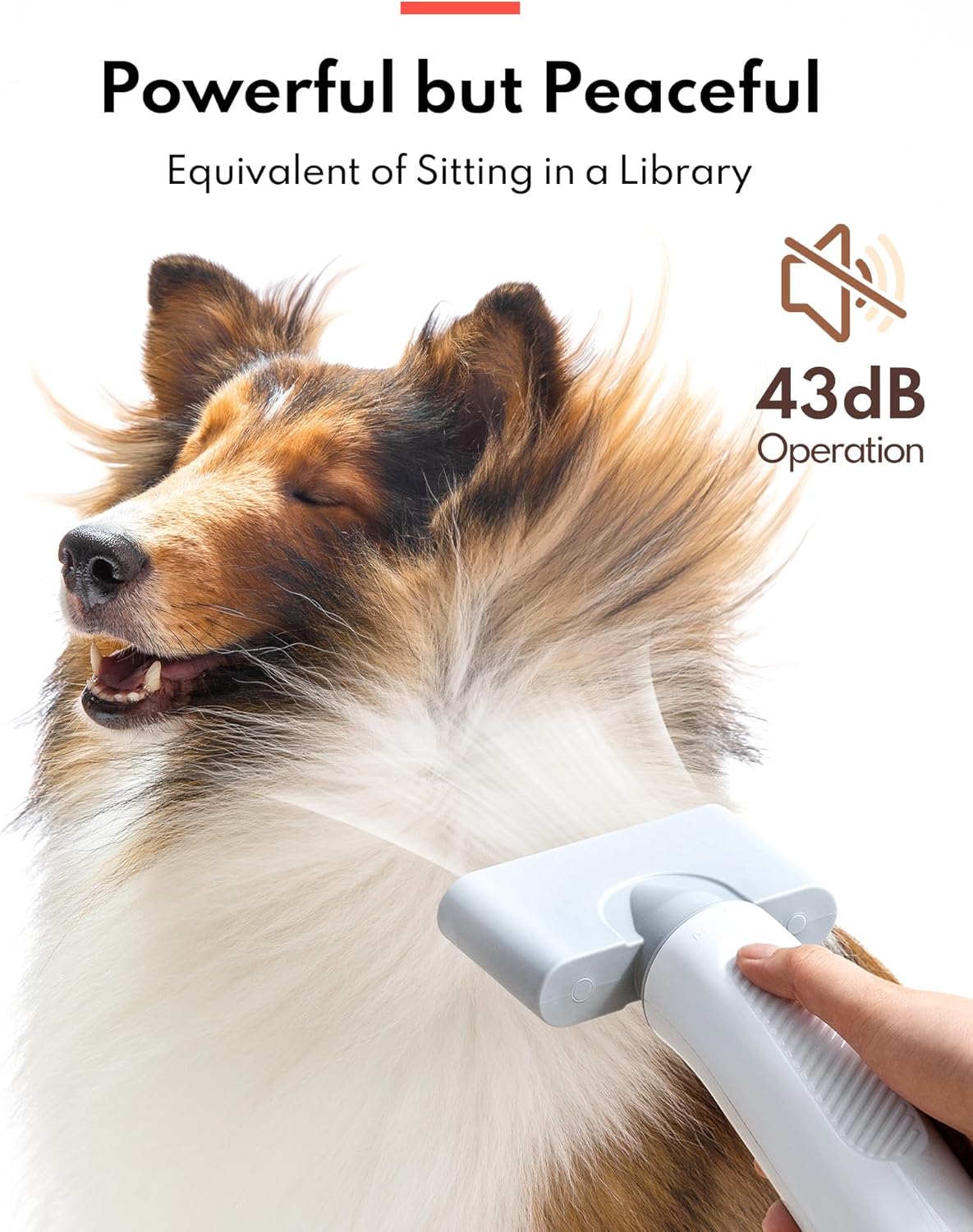 HomeRunPet Dog Dryer, Pet Hair Dryer with 99 Adjustable Wind Speed and Temperature Control, 3