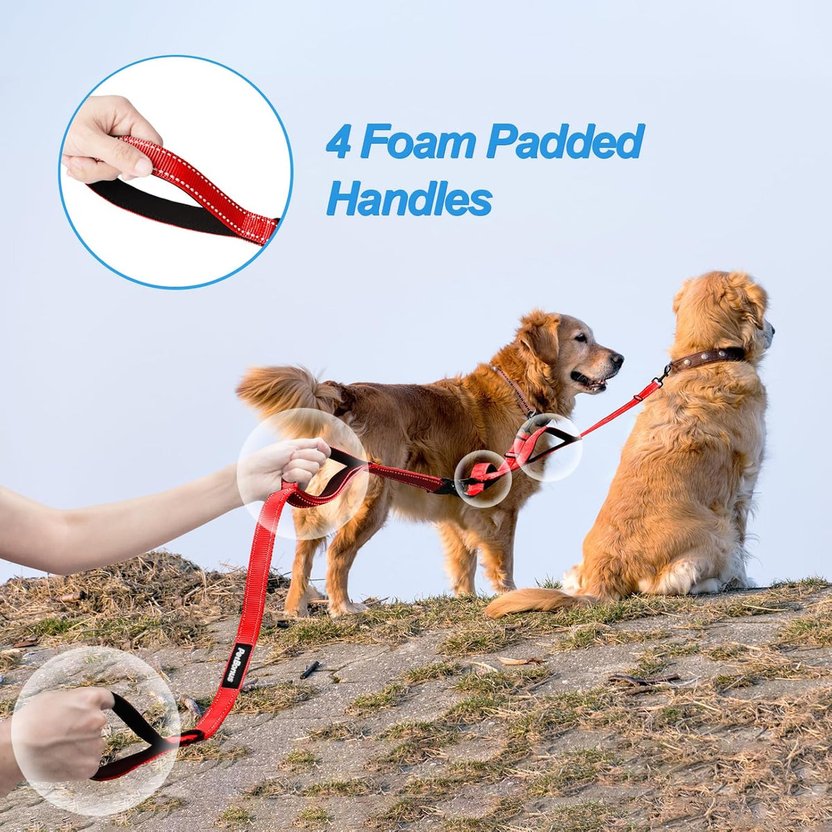 PetBonus Double Dog Leash, No Tangle Dual Leash, Reflective Walking Training Lead, 4 Comfortable
