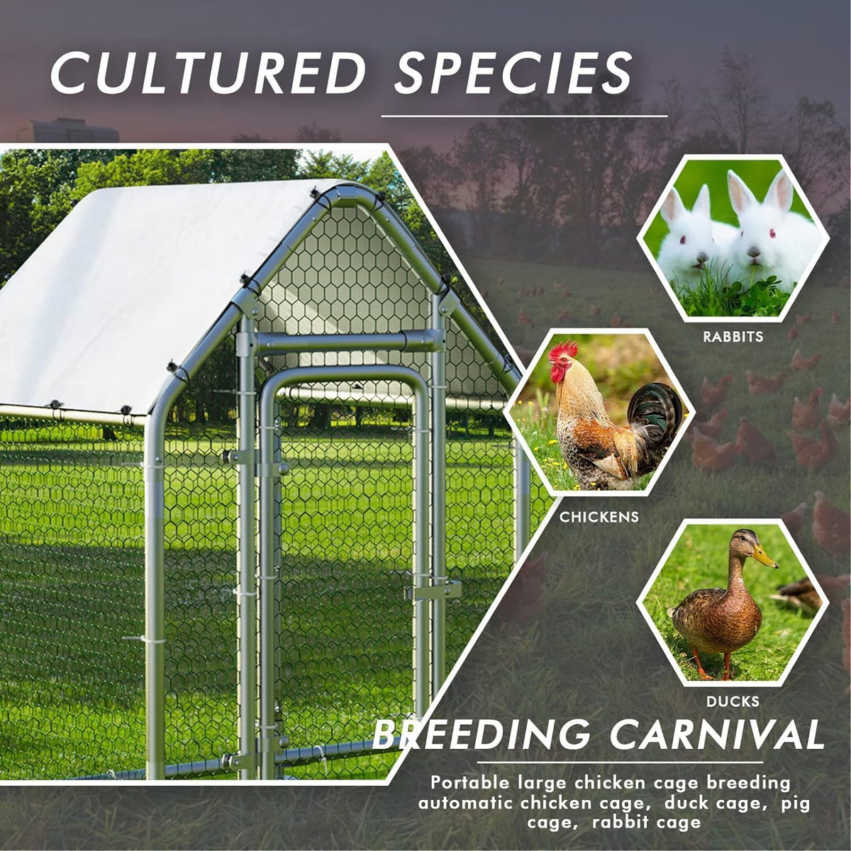 LEMBERI Small Metal Chicken Coop, Walk-in Chicken Run,Galvanized Wire Poultry Chicken Hen Pen Cage