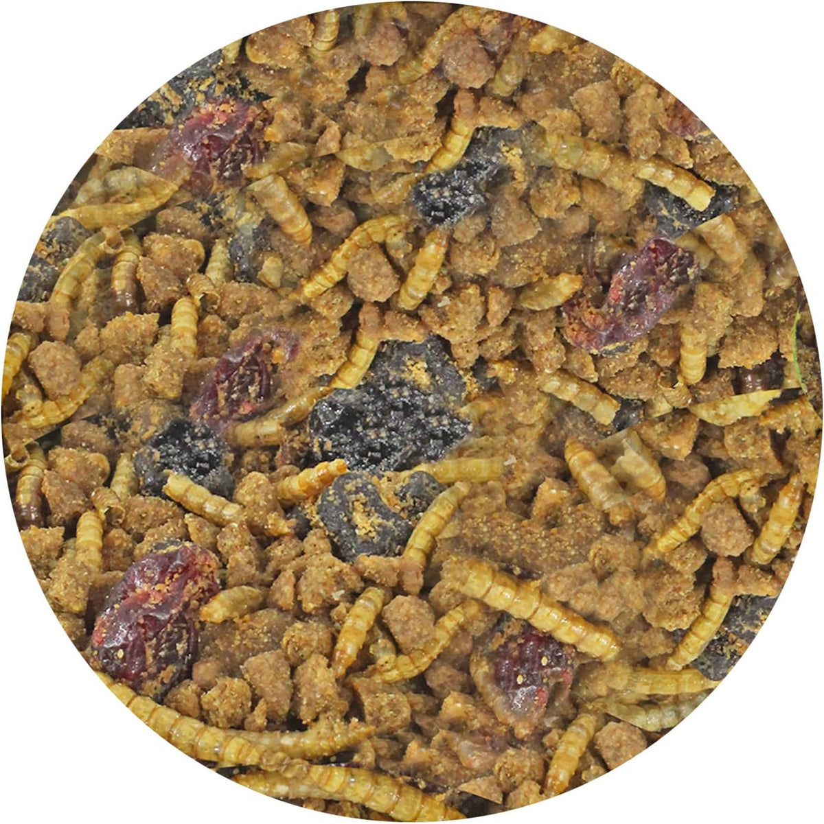 Berries & Bugs (10 lb.) - All Natural High Protein High Fiber Insectivore Diet with Fruit