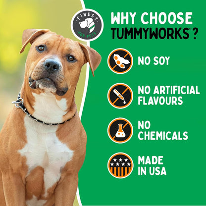 TummyWorks Probiotic 120 Soft Chews for Dogs All Ages - Supports Digestive Health, Relieves