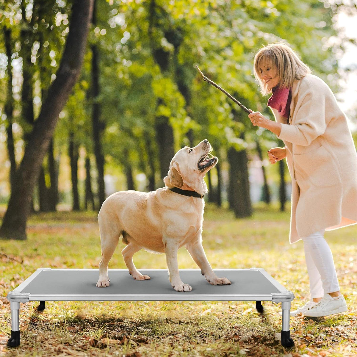 Veehoo Chew Proof Elevated Dog Bed - Cooling Raised Pet Cot - Silver Aluminum Frame and Durable