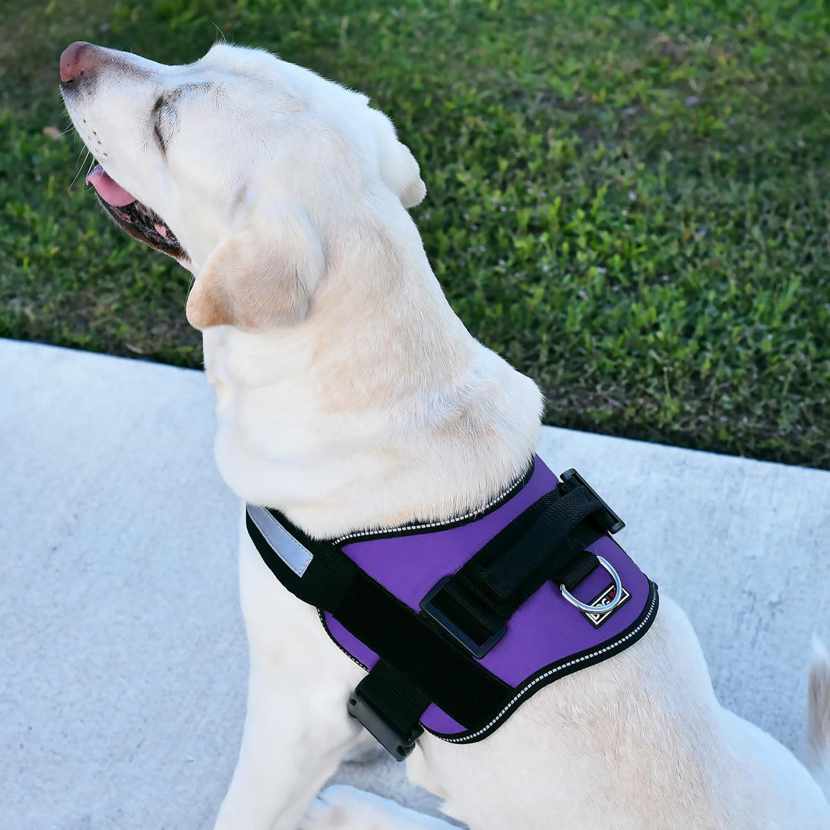 Dogline Dog Harness, Reflective No-Pull Adjustable Vest with Handle for Walking, Training