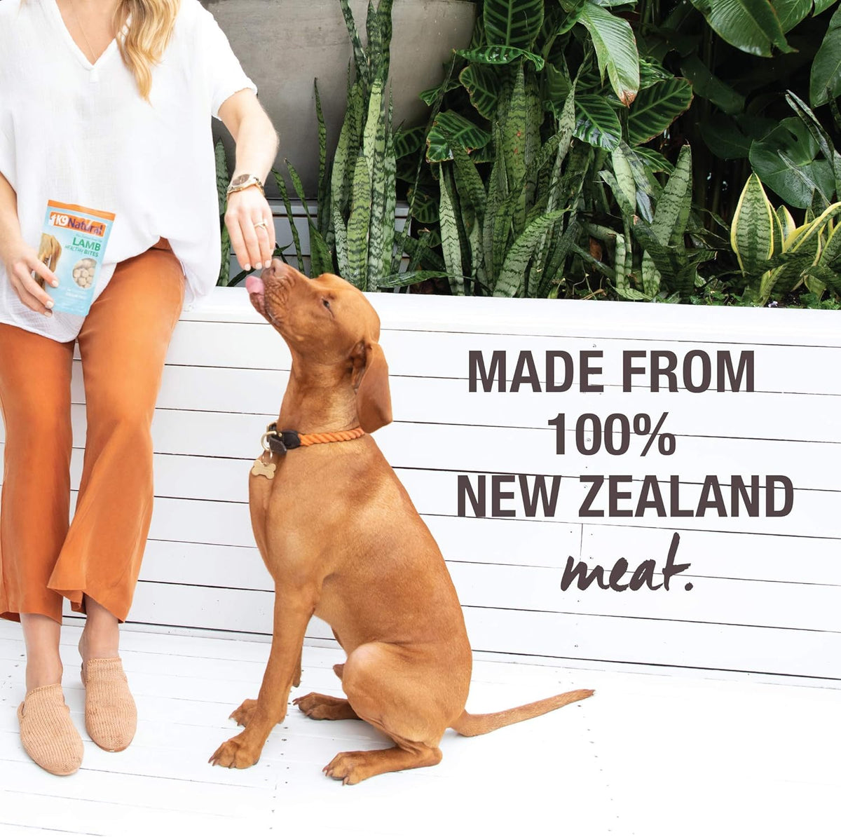 K9 Natural, Freeze-Dried Single Ingredient Dog Treats, High-Value, Low-Calorie Protein Bites for